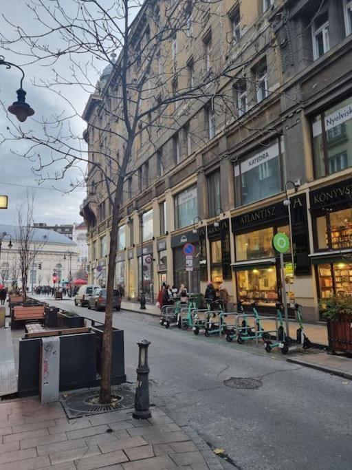 Danube Dwelling Asboth 19-1 Lejlighed Budapest Eksteriør billede